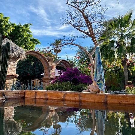 Casa Xochitl Bed & Breakfast El Centenario Dış mekan fotoğraf