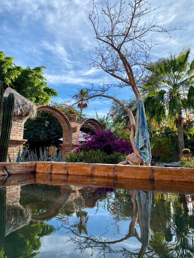 Casa Xochitl Bed & Breakfast El Centenario Dış mekan fotoğraf