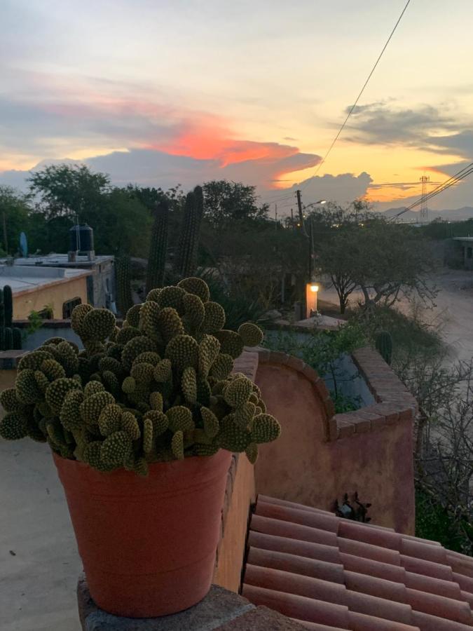 Casa Xochitl Bed & Breakfast El Centenario Dış mekan fotoğraf